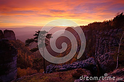 Beautiful twilight sunset landscape. Evening it rocky hill with big pine tree. Sun with ping and orange sky. Evening sun during Stock Photo