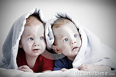 Beautiful twin babies Stock Photo