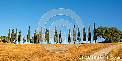 Beautiful typical panorama with cypress trees alley in Tuscany Italy Stock Photo