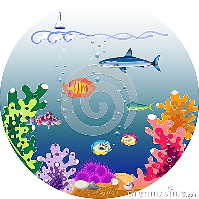 Beautiful underwater world Stock Photo