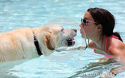 Beautiful unique golden retriever labrador dog and girl relaxing at the pool in a floating bed, dog super funny. Stock Photo