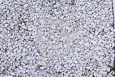 Beautiful unusual background of small fresh pebbles. White pebbles for decorative Stock Photo