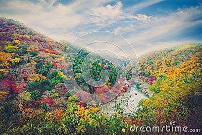 Beautiful valley with seasonal colorful trees and blue sky lands Stock Photo