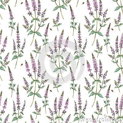 Beautiful vector floral seamless pattern with hand drawn watercolor spearmint flowers. Stock illustration. Vector Illustration