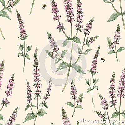 Beautiful vector floral seamless pattern with hand drawn watercolor spearmint flowers. Stock illustration. Vector Illustration