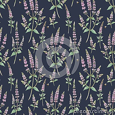 Beautiful vector floral seamless pattern with hand drawn watercolor spearmint flowers. Stock illustration. Vector Illustration