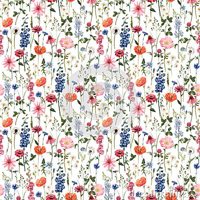 Beautiful vector floral summer seamless pattern with watercolor hand drawn field wild flowers. Stock illustration. Vector Illustration