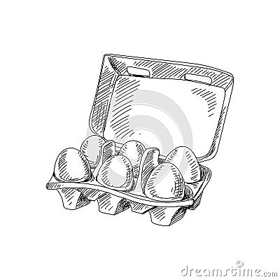 Beautiful vector hand drawn packaging with eggs Illustration. Vector Illustration