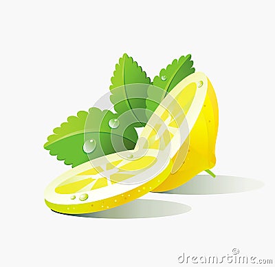 Vector Illustration with lemon and mint on a white background. Vector Illustration