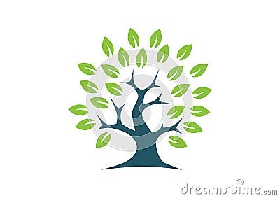 Beautiful vector oak tree Vector Illustration