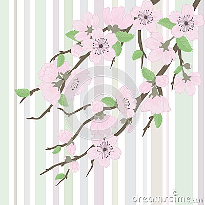 Beautiful vector sakura branch Vector Illustration