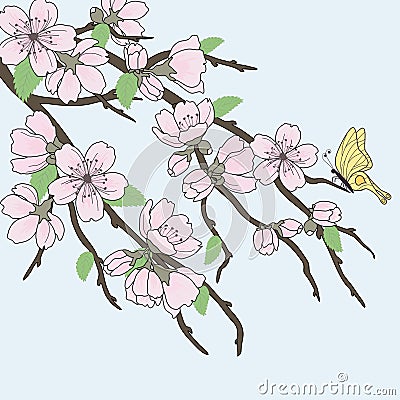 Beautiful vector sakura branch Vector Illustration