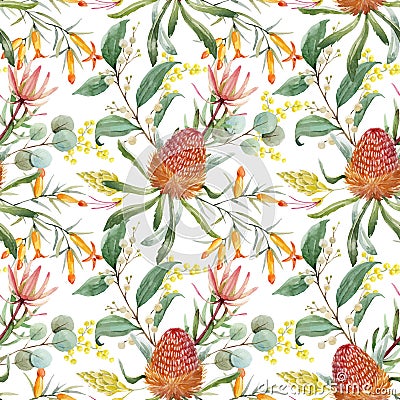 Watercolor australian banksia vector pattern Vector Illustration