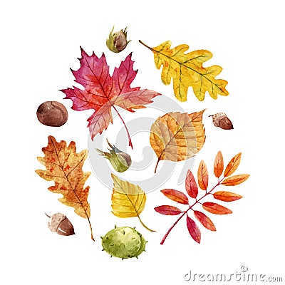 Watercolor fall leaves vector set Vector Illustration