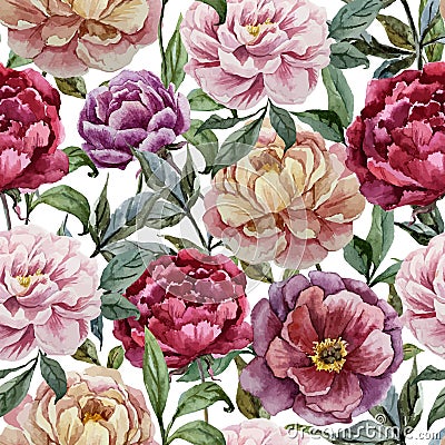 Beautiful vector watercolor pattern with peonies Vector Illustration