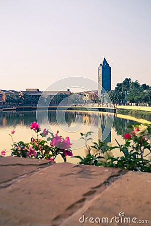 Beautiful Verona Tublan in Thailand Stock Photo