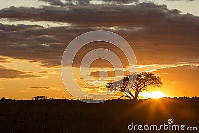 Beautiful Vibrant Colourful sunrise Stock Photo