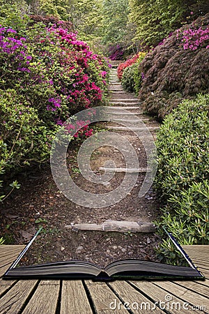 Beautiful vibrant landscape image of footpath border by Azalea f Stock Photo