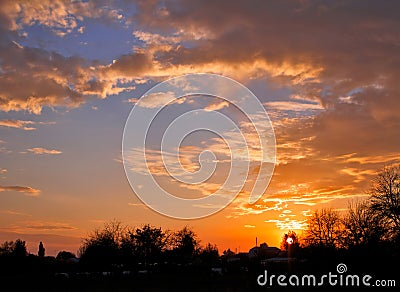 Beautiful vibrant sunset, tree silhouettes, fluffy clouds. Stock Photo