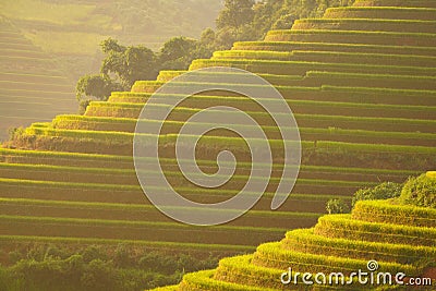 Beautiful Vietnam landscape rice terrace on the mountain Stock Photo