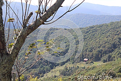 Roan Mountain Appalachian Trail View Stock Photo