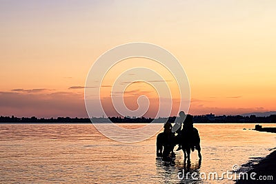 A beautiful view of the beach at sunset, illuminated by the evening sunlight, two riders bathe horses, summer adventures Stock Photo