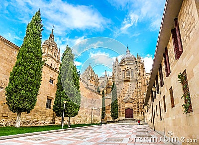 Beautiful view of Cathedral of Salamanca, Castilla y Leon, Spain Stock Photo