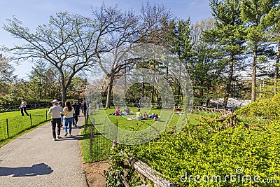 Beautiful view of of Central Park in Manhattan, where people stroll along Editorial Stock Photo