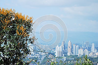 Beautiful view of the city of Panama, from Cerro AncÃ³n. Stock Photo