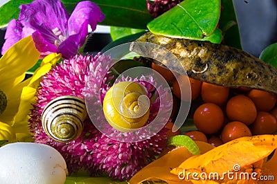 Nice closeup picture of flower Stock Photo