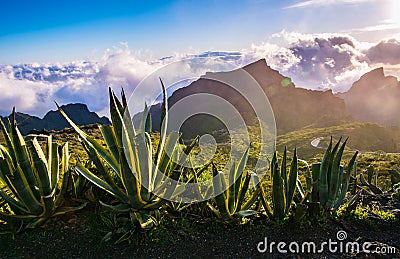 Beautiful view with clouds near Masca Gorge, Tenerife, Canary Is Stock Photo