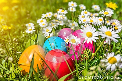 Beautiful view of colorful Easter eggs lying in the grass Stock Photo