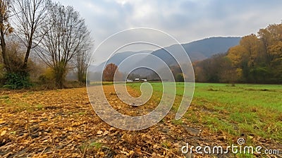 Beautiful view countryside of farm field with mountain, nature, forests Cartoon Illustration