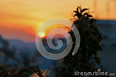 Beautiful view from far away on color sunset Stock Photo