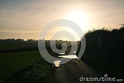 Beautiful view of a field and small puddles at sunset in Plancenoit, Belgium Stock Photo