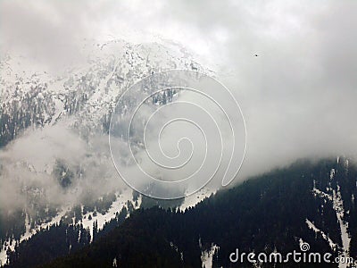 Beautiful View Of Foggy Landscape On a Wet Afternoon In Gulmarg, Jammu And Kashmir, India. Stock Photo