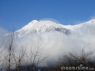 Beautiful View Of Foggy Landscape On a Wet Afternoon In Gulmarg, Jammu And Kashmir, India. Stock Photo