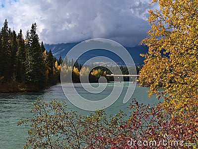 Beautiful view of Fraser River in autumn season with colorful trees and bushes near Tete June Cache, Canada in Robson Valley. Stock Photo