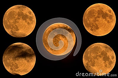 Full orange moon on Halloween night. Stock Photo