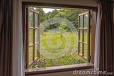 Beautiful view of the garden filled with blossomed yellow flowers from the open window Stock Photo