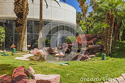 Beautiful view of garden with pink flamingos standing in pond with fountain. Stock Photo