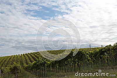 Agriculture, view of the fields and farms in italy Stock Photo