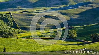 Beautiful view of green fields and meadows at sunset in Tuscany Stock Photo