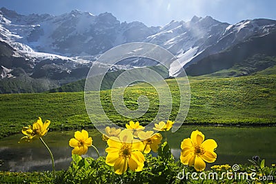 Beautiful view on green meadow with yellow flowers on foreground next to mountain on sunny clear summer day in Svaneti, Georgia Stock Photo