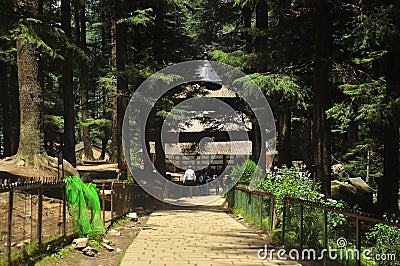Beautiful view of Hidimba Devi Temple in between cedar trees Editorial Stock Photo