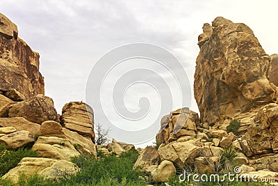 Beautiful view from the hiking trail in Joshua Tree National Park, California, USA. Stock Photo