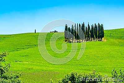 Beautiful view of hilly Tuscany in sunny day Stock Photo