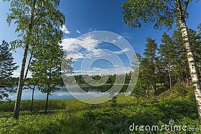 Beautiful view of lake landscape surrounded with green forest trees and plants. Blue sky reflecting in mirror water surface. Stock Photo
