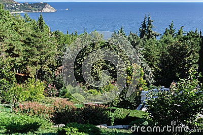 Beautiful View of landscape park with many rare and relict evergreens on the Black Sea coastline. Cypress trees, cedars Stock Photo