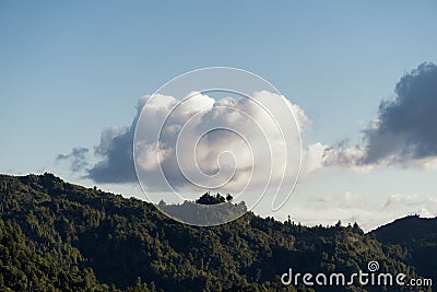 Beautiful view of a lone cloud over native bush on a sunny day Stock Photo
